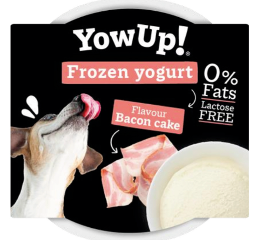 Yowup - Frozen Yogurt GELATO al gusto di Bacon - 110gr